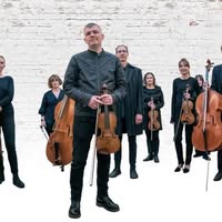 Orchestra Of The Swan