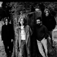 The Wytches