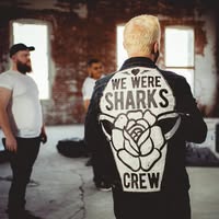 We Were Sharks