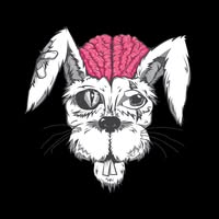 Hare Brain