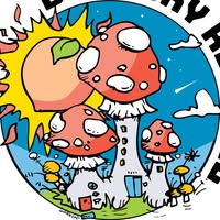 Blue Sky Revival - Allman Brothers Tribute