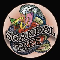 Scandal Tree