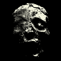 Fossilization