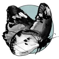 BTTRFLY Quintet