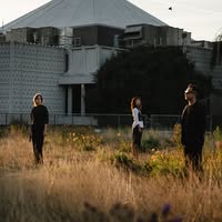 The Hausplants