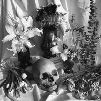 Dead Spells