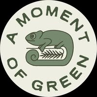 A Moment of Green