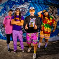 Badfish