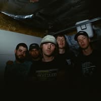 Shirehead