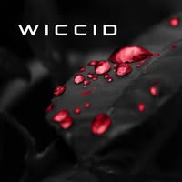 Wiccid