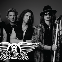 Walk This Way - A Tribute to Aerosmith