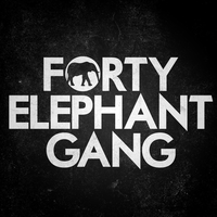 Forty Elephant Gang