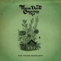 The Young Novelists