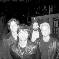 Native Sun (NYC)