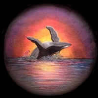 The Duskwhales