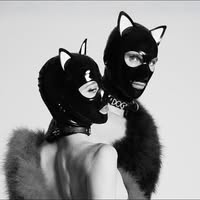 Animaux Formidables