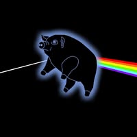 Pigs on the Wing - A tribute to Pink Floyd
