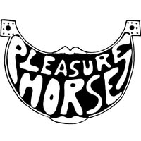 Pleasure Horse