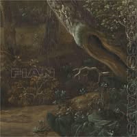 Fian