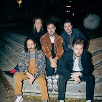Disco Lizards