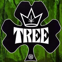 TREE(Boston)