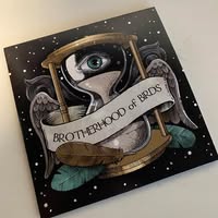 Brotherhood of Birds