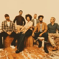 The Buttshakers