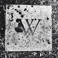 Wanderer