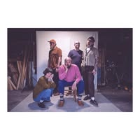 We are the Willows