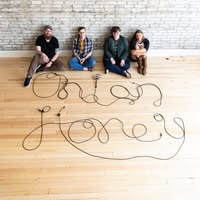 Onion Honey