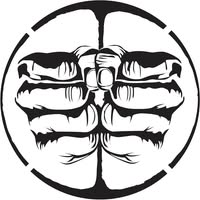 Cerebellion