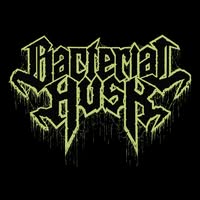 Bacterial Husk