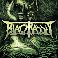 Black Rabbit Official