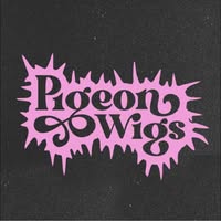 Pigeon Wigs