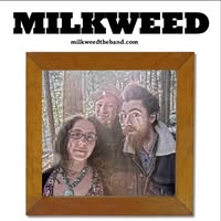 Milkweed