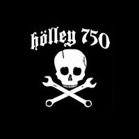 Holley 750