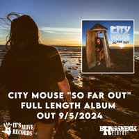 CITY MOUSE