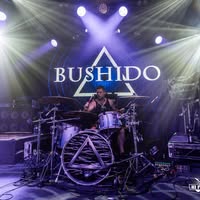Bushidoband