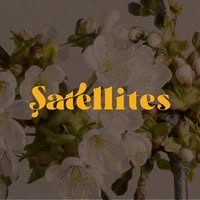 Şatellites