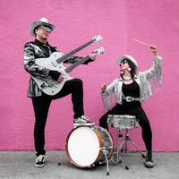 The ReViberators