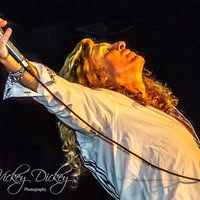 Whitesnake'd