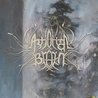Artificial Brain
