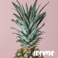 Fervor