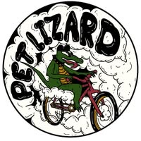 Pet Lizard
