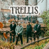 Trellis