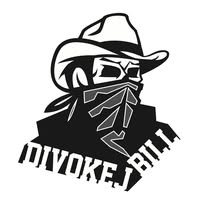 Divokej Bill