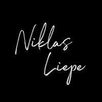 niklas liepe