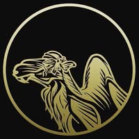 Brass Camel