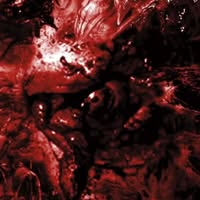 Excrescence