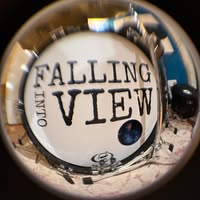 Falling Into View